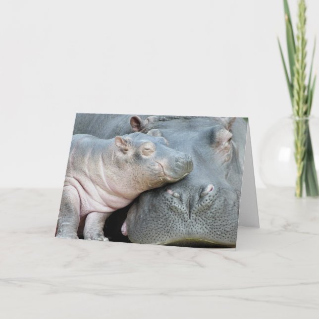 Carte Hippopotame (Devant)