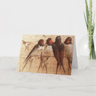Carte Hirondelles rustiques, Anniversaire