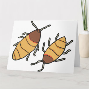 Carte Hisser Cockroach