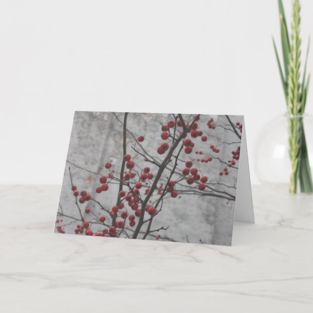 Carte Hiver de NYC (Devant)