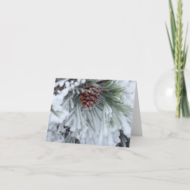 Carte Hiver Pinecone (Devant)