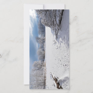 Carte hiver pittoresque le long de l'étang et des forêts