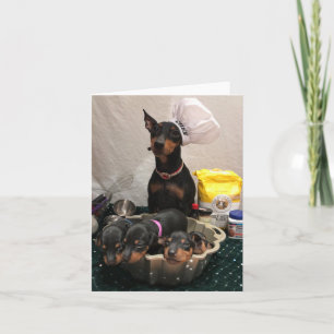 Carte Holiday de Manchester Terrier