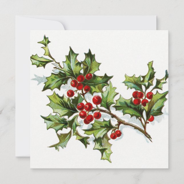 Carte Holly Berries 002 (Devant)