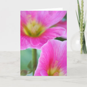Carte Hollyhocks rose vif
