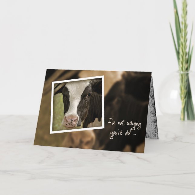 Carte Holstein Humour pour l'anniversaire (Devant)