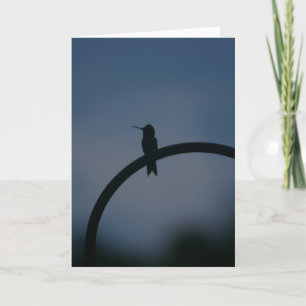 Carte Homme Ruby Throat Hummingbird