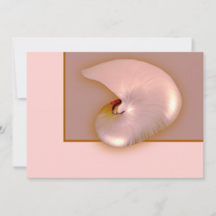 Carte Hors Nautilus