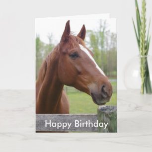 Carte Horse Equestrian Hunter Birthday