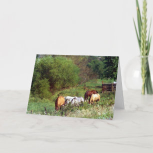 Carte Horse Pasture Anniversaire