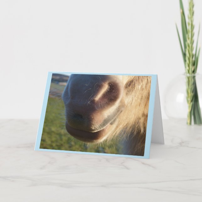 Carte Horse smile Card (Devant)