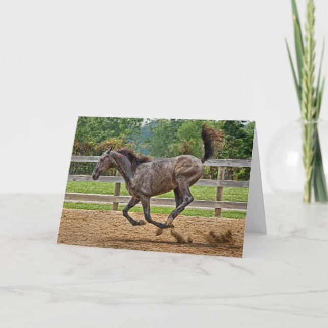 Carte Horse Tennessee Walker Filly Card (Devant)