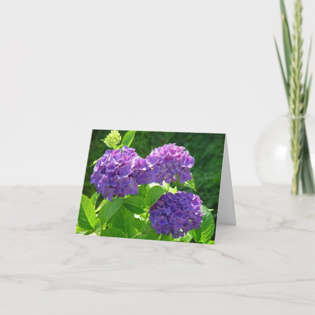 Carte Hortensia 2 (Devant)