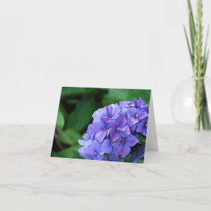 Carte Hortensia 6893