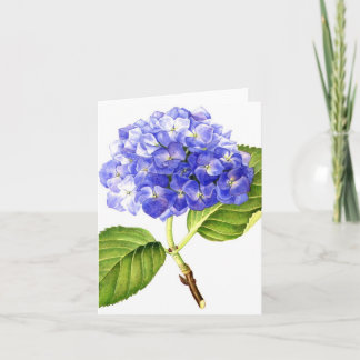 Carte Hortensia bleu