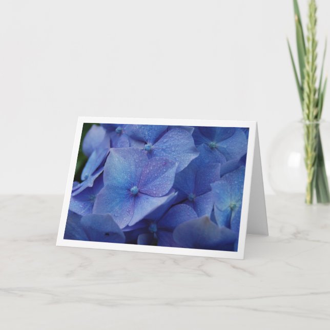 Carte Hortensias (Devant)