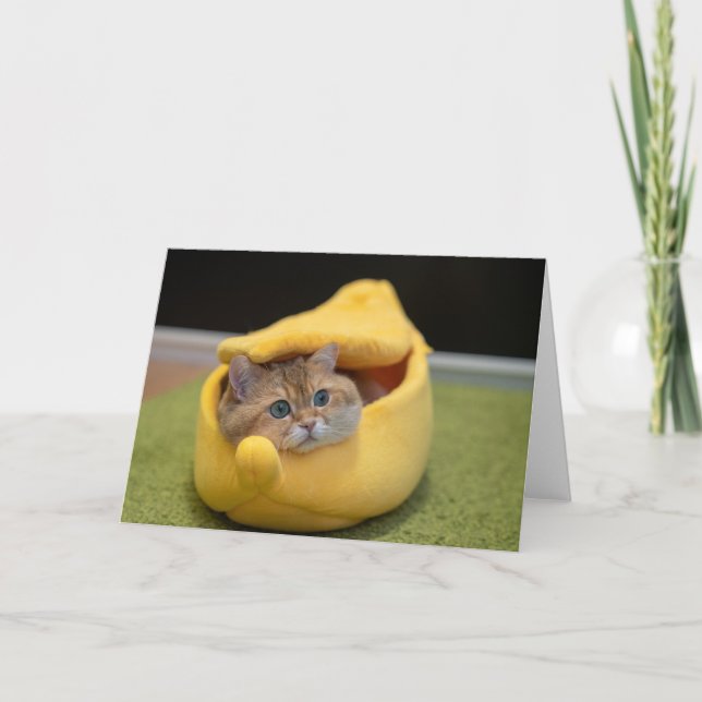 Carte Hosico et banane (Devant)