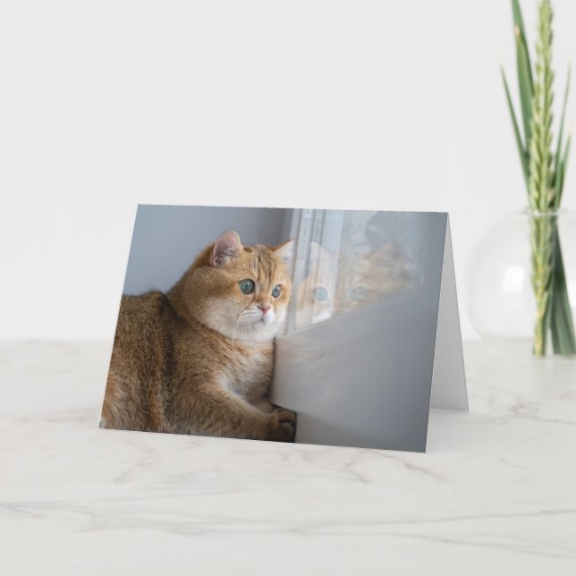 Carte Hosico regarde par la fenêtre (Devant)