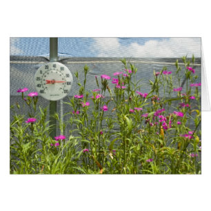 Carte Hot House Nursery