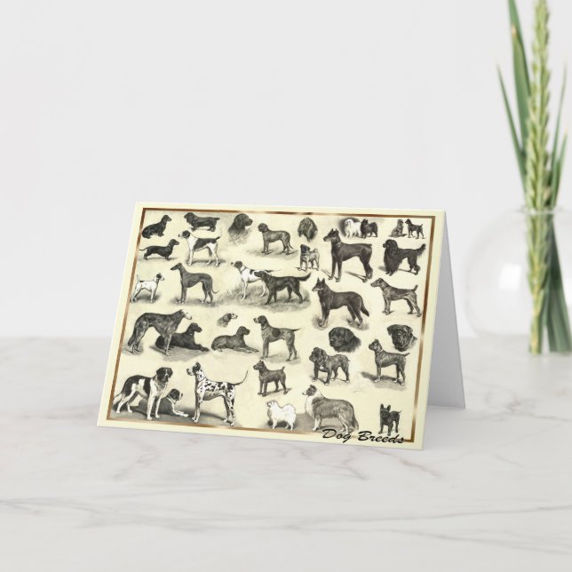 Carte Hounds - Chiens de races pour Amoureux de les chie (Devant)