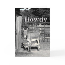 Howdy
