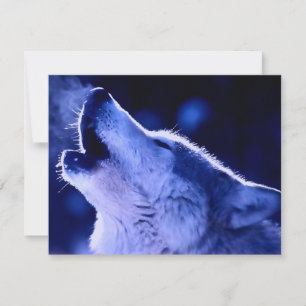 Carte Howling Wolf