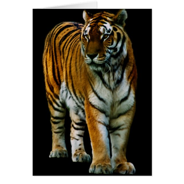 Carte Hu Lin (Devant)