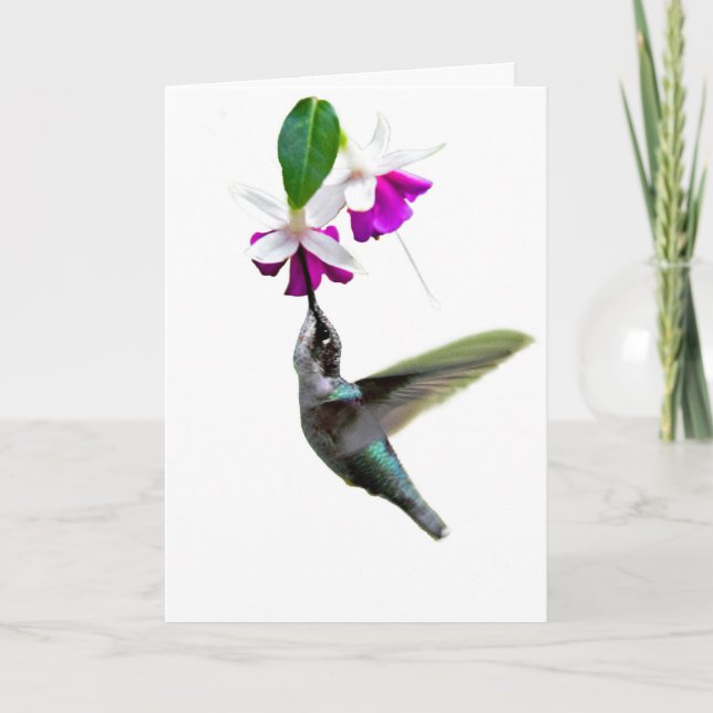 Carte Hummingbird (Devant)