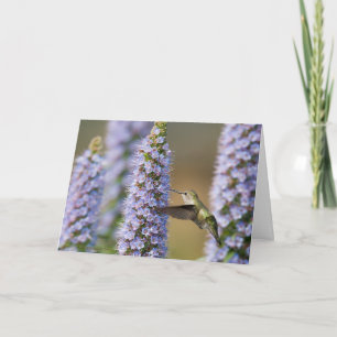 Carte Hummingbird Birthday Card