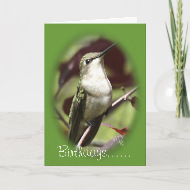 Carte Hummingbird femelle perchée - personnaliser à tout (Devant)