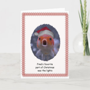 Carte humoristique de poisson rouge de Noël