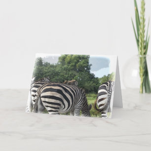 Carte Humoristique Zebra Derrière Se Bien