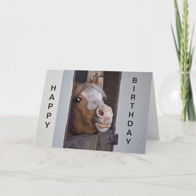 Carte Humorous Horse (Devant)