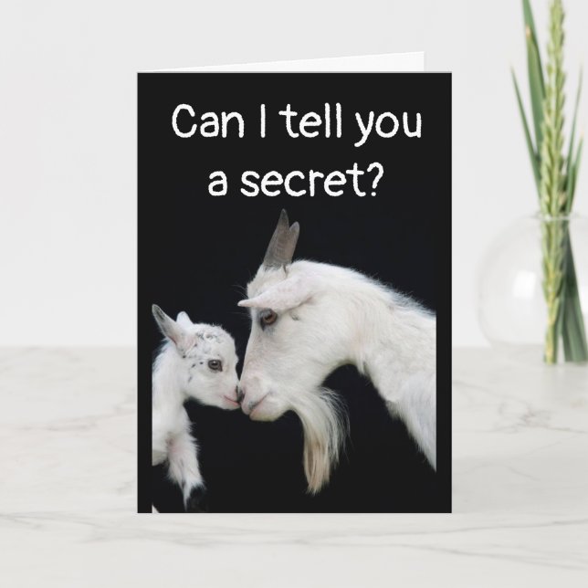 CARTE HUMOUR ANNIVERSAIRE "BATTU", PAS DE PETIT BESOIN ! (Devant)