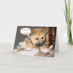 Carte Humour comique d'anniversaire