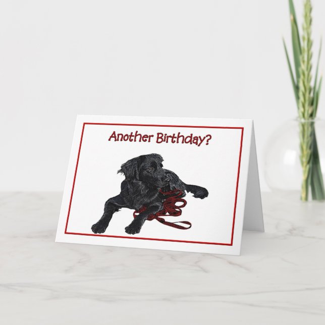 Carte Humour d'anniversaire Black Labrador Retriever (Devant)