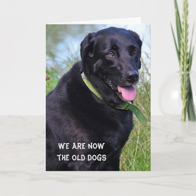 Carte Humour d'anniversaire de Black Labrador Retriever (Devant)