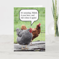 Humour d'anniversaire de deux poules