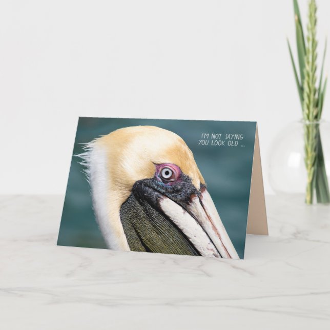 Carte Humour d'anniversaire de Pélican (Devant)
