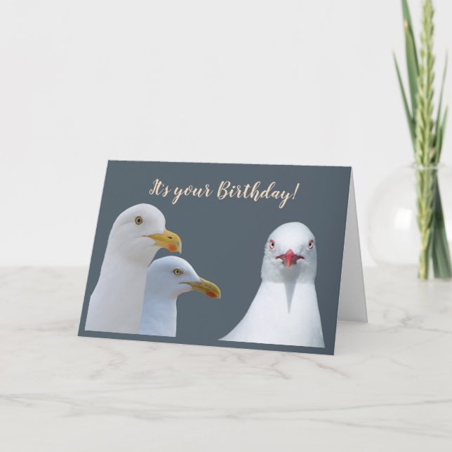 Carte Humour d'anniversaire de tous nous volent mouettes (Devant)