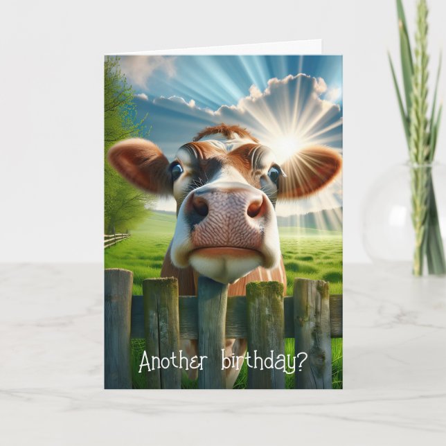 Carte Humour d'anniversaire de vache lunaire (Devant)