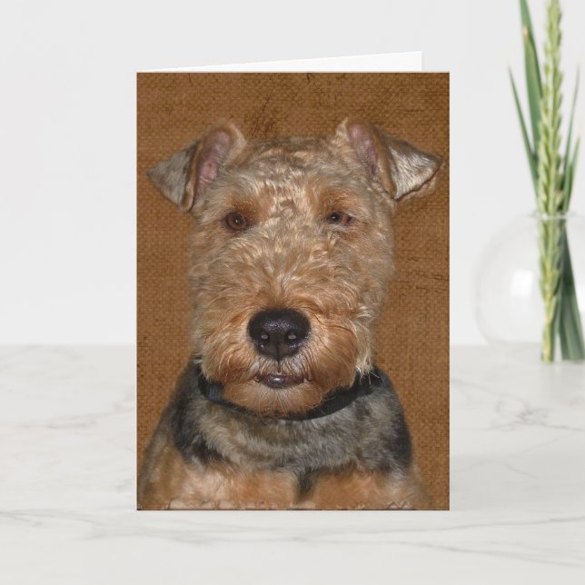 Carte Humour d'anniversaire de Welsh Terrier (Devant)