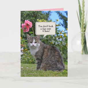 Carte humour d'anniversaire du chat tabby
