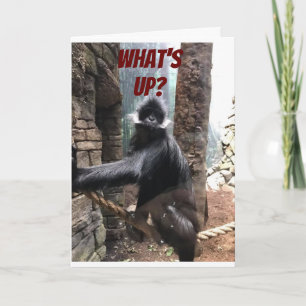 Carte Humour D'ANNIVERSAIRE ET D'ÂGE POUR MON "FRÈRE PRÉ