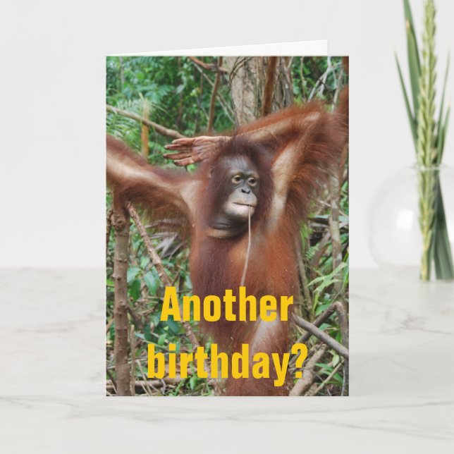 Carte Humour d'anniversaire magnifique (Devant)