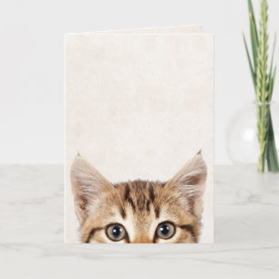 Carte Humour d'anniversaire Tabby kitten