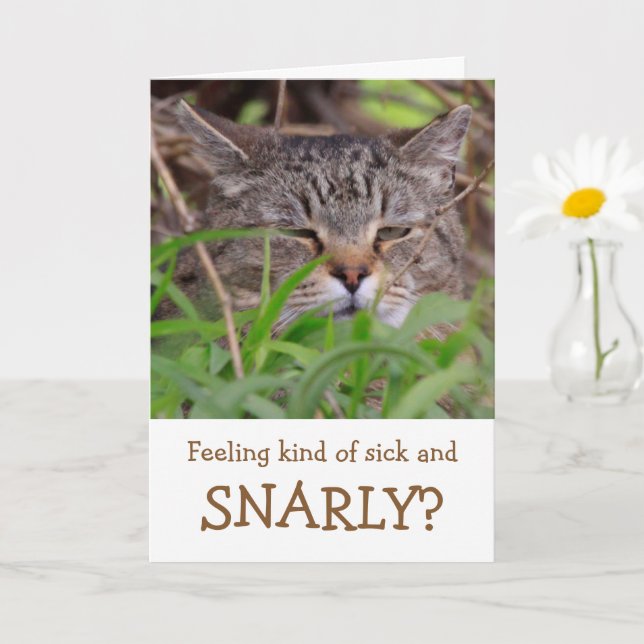 Carte Humour de chat se porter bien (Petite plante)