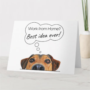 Carte Humour de chien chiot drôle : travail à domicile? 