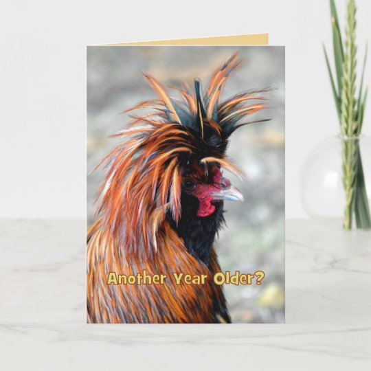 Carte Humour De Fantaisie De Joyeux Anniversaire De Coq Zazzle Ca