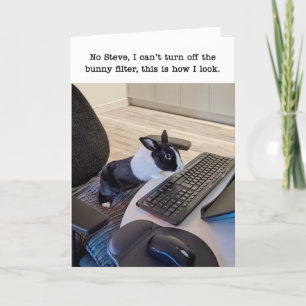 Carte Humour de filtre de lapin